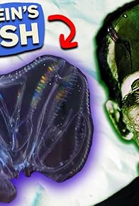 Primary photo for Jellyfish are COMBINING!?