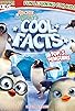 Primary photo for Archie and Zooey's Cool Facts: Top 5 Penguins