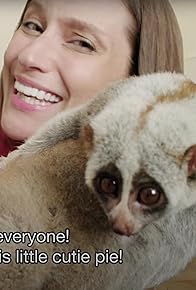 Primary photo for Slow Lorises Are Not Pets PSA