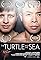 The Turtle and the Sea's primary photo