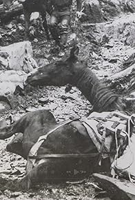 Primary photo for Chapter Six: Dead Horse Trail