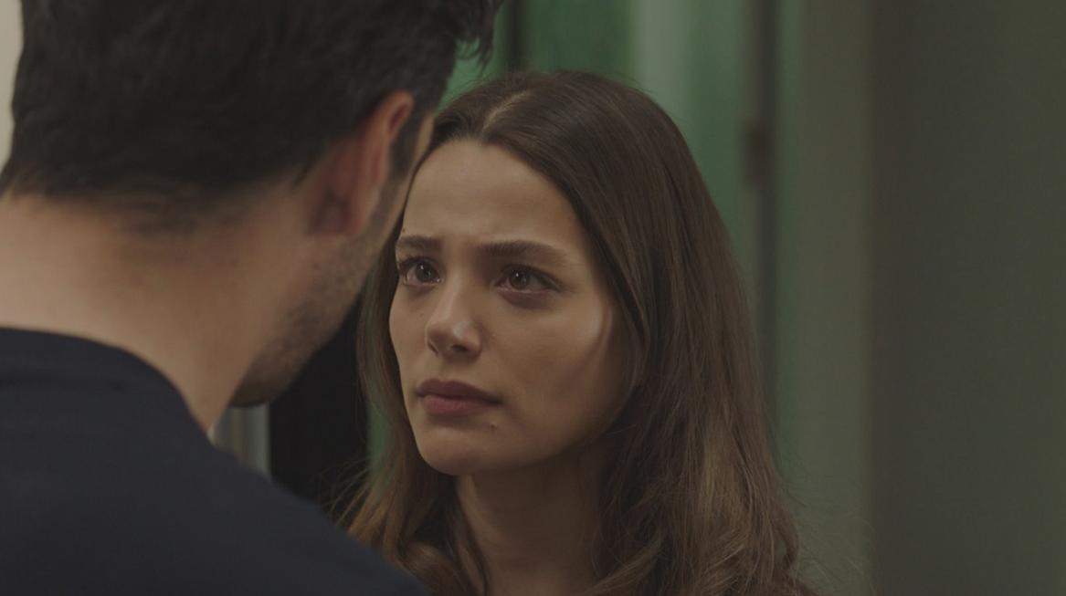 Siyah Kalp (TV Series 2024–2025) - Episode list - IMDb