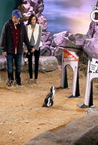 Primary photo for Batman vs. The Penguin Primary photo for Batman vs. The Penguin