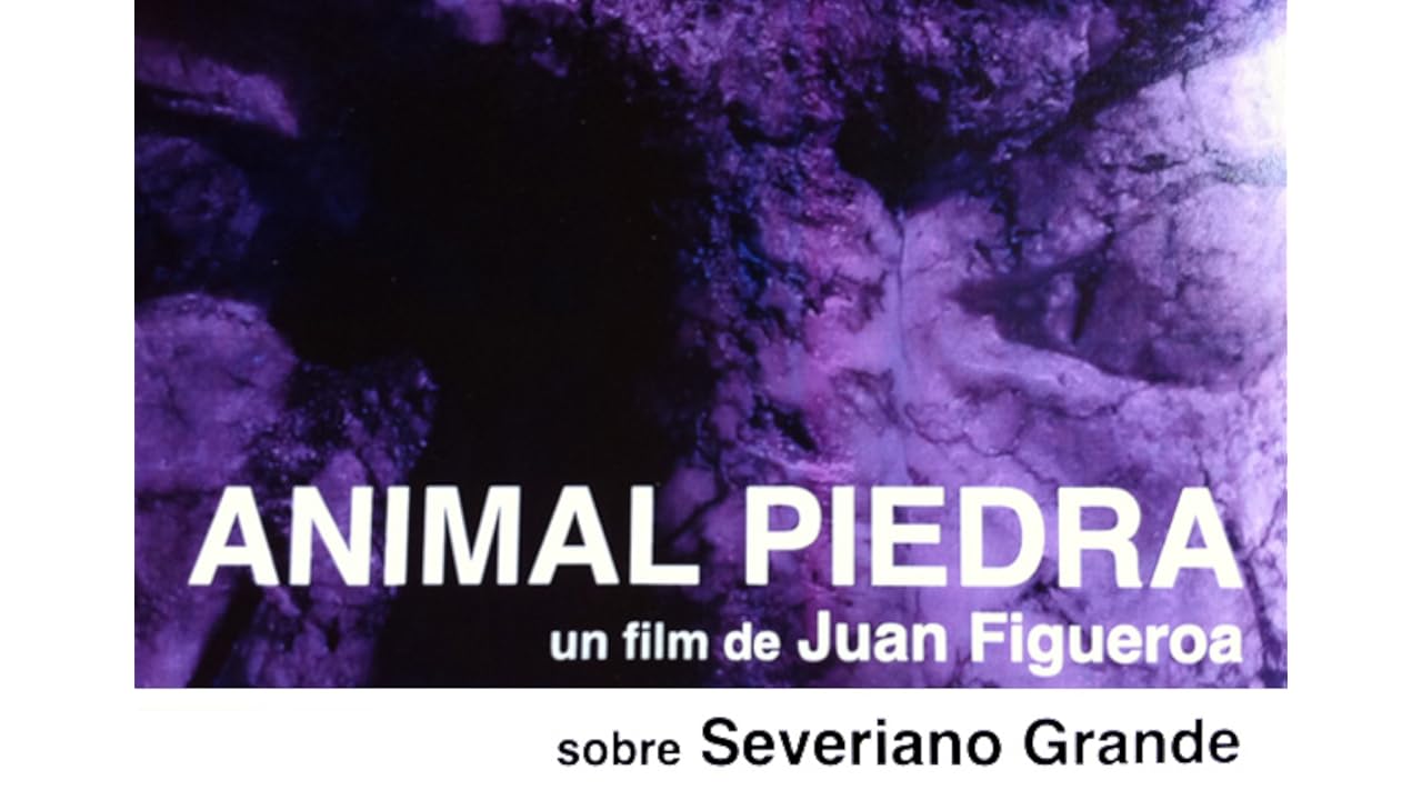 películas netflix galerías películas netflix