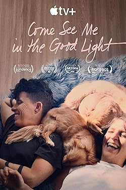Poster of Come See Me in the Good Light