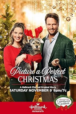 Poster of Picture a Perfect Christmas