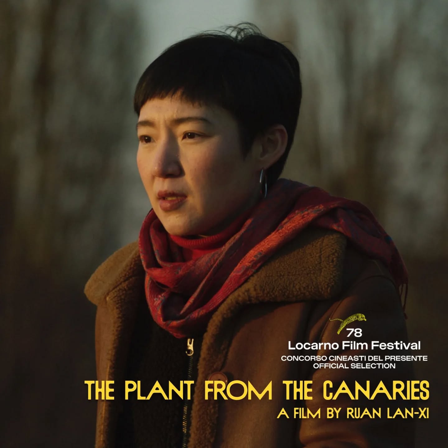 The Plant from the Canaries