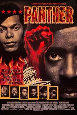 Poster of Panther