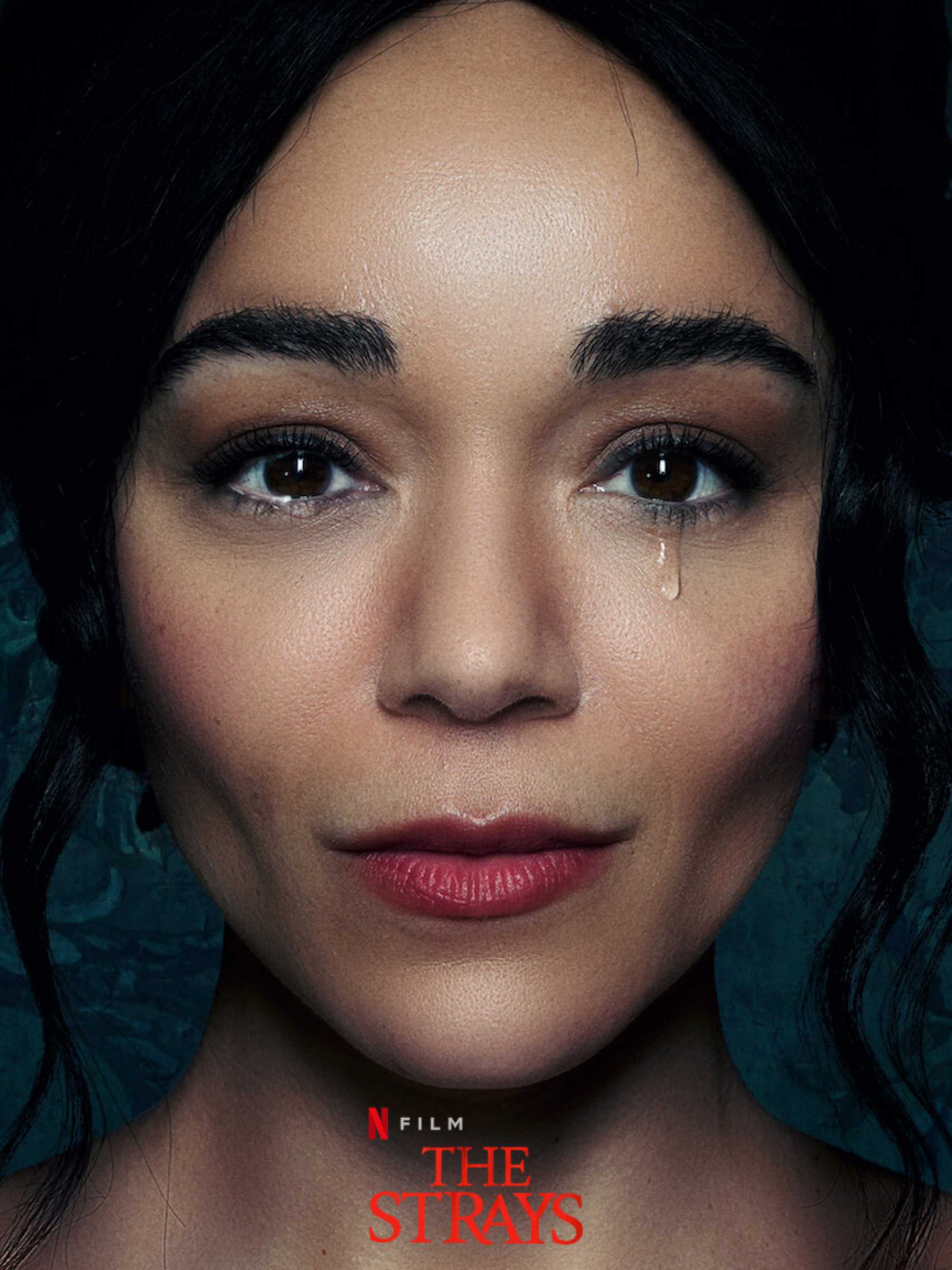 Poster of The Strays