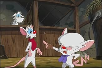 पोस्टर देखें