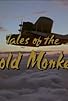 Primary photo for Tales of the Gold Monkey: Part 2 Primary photo for Tales of the Gold Monkey: Part 2