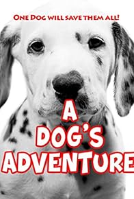 Primary photo for Operation Dalmatian: Paws & Claws Rescuers