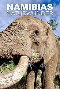 Primary photo for Wild Namibia