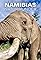 Wild Namibia's primary photo