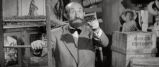 पोस्टर देखें