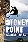 Stoney Point: Portrait of an American Crag's primary photo