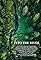 Into the River's primary photo