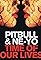Pitbull & Ne-Yo: Time of Our Lives's primary photo