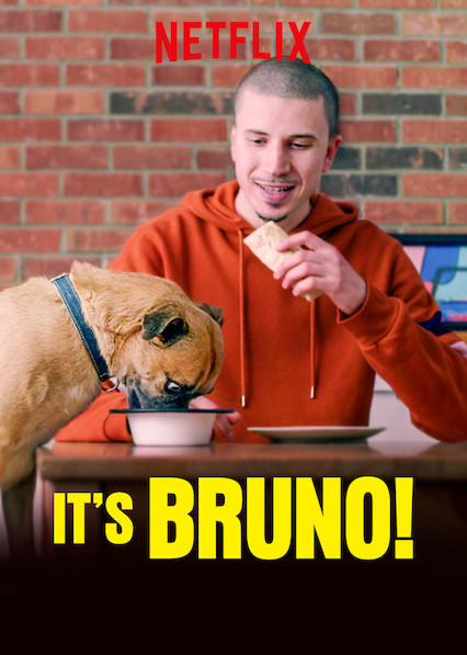 Poster of It's Bruno