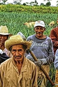 Primary photo for Jornaleros