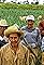 Jornaleros's primary photo
