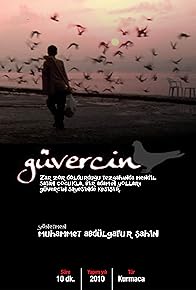 Primary photo for Pigeon Primary photo for Pigeon