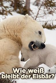 Primary photo for Les métamorphoses de l'ours polaire