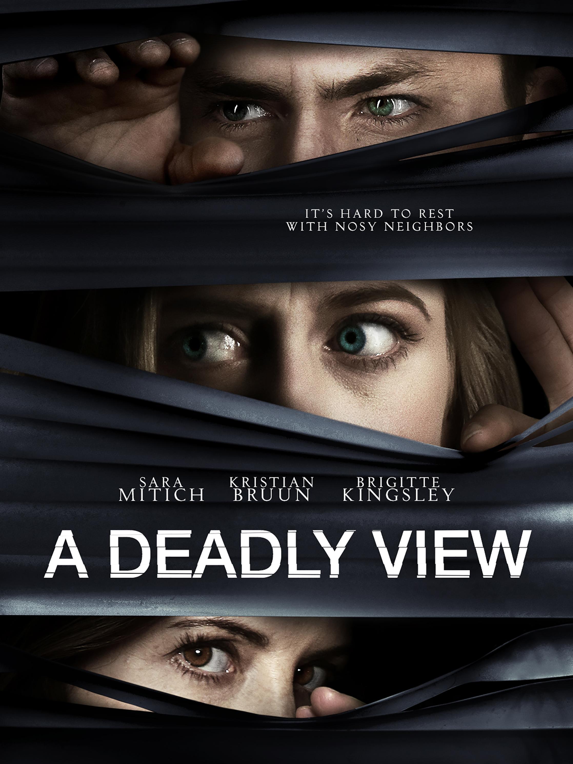 Poster of A Deadly View
