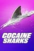 Primary photo for Cocaine Sharks Primary photo for Cocaine Sharks