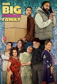 Primary photo for Our Big Punjabi Family