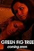 Primary photo for Green Fig Tree Primary photo for Green Fig Tree