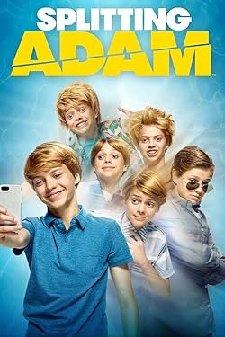 Poster of Splitting Adam