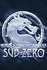 Primary photo for Mortal Kombat Mythologies: Sub-Zero Primary photo for Mortal Kombat Mythologies: Sub-Zero