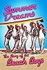 Primary photo for Summer Dreams: The Story of the Beach Boys Primary photo for Summer Dreams: The Story of the Beach Boys