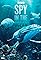 Spy in the Ocean's primary photo