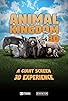 Primary photo for Animal Kingdom Primary photo for Animal Kingdom
