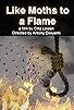Primary photo for Like Moths to a Flame Primary photo for Like Moths to a Flame