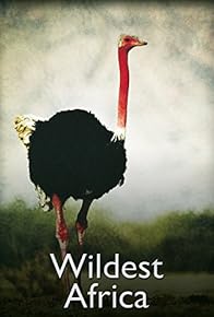 Primary photo for Wildest Africa