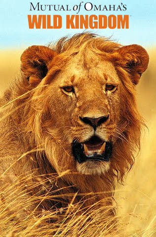 Mutual of Omaha's Wild Kingdom (TV Series 2002– ) - IMDb
