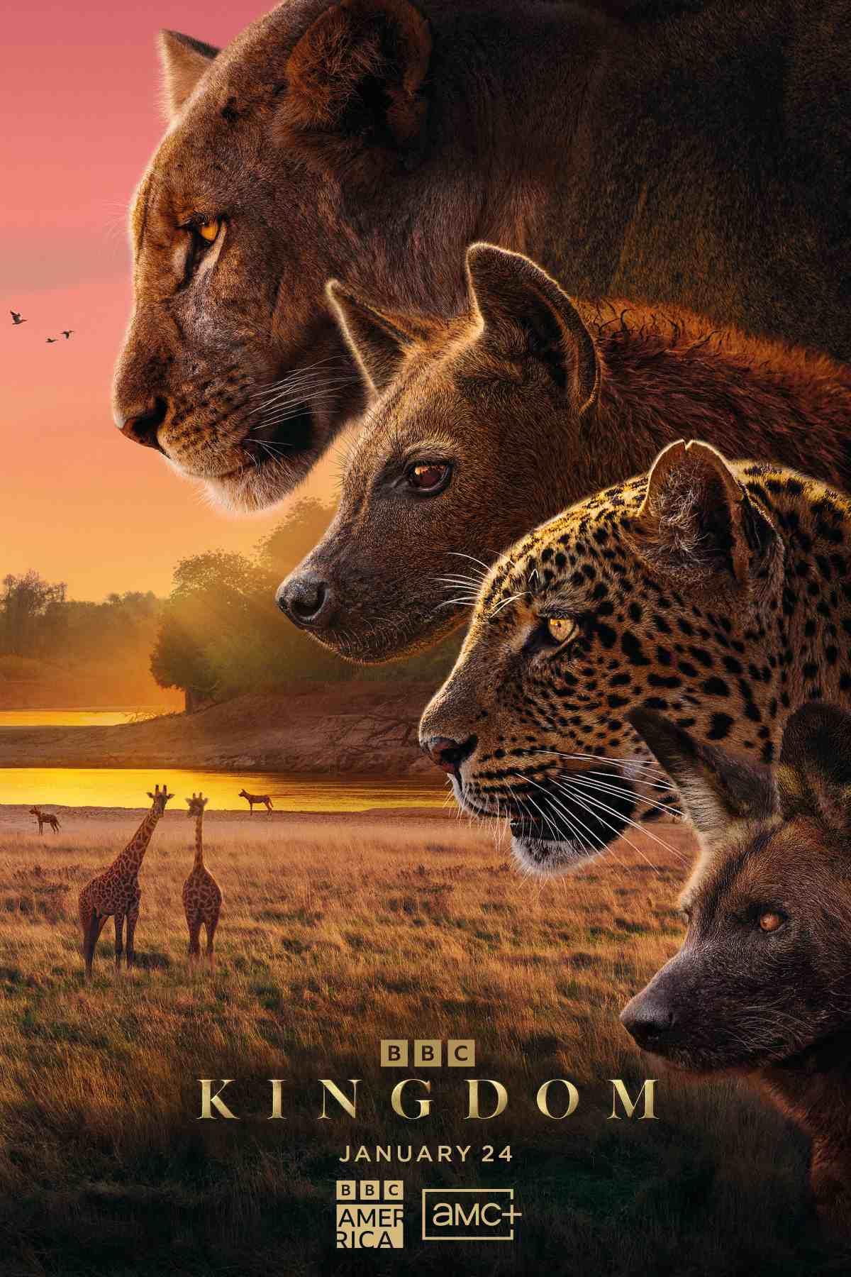 Poster of Kingdom