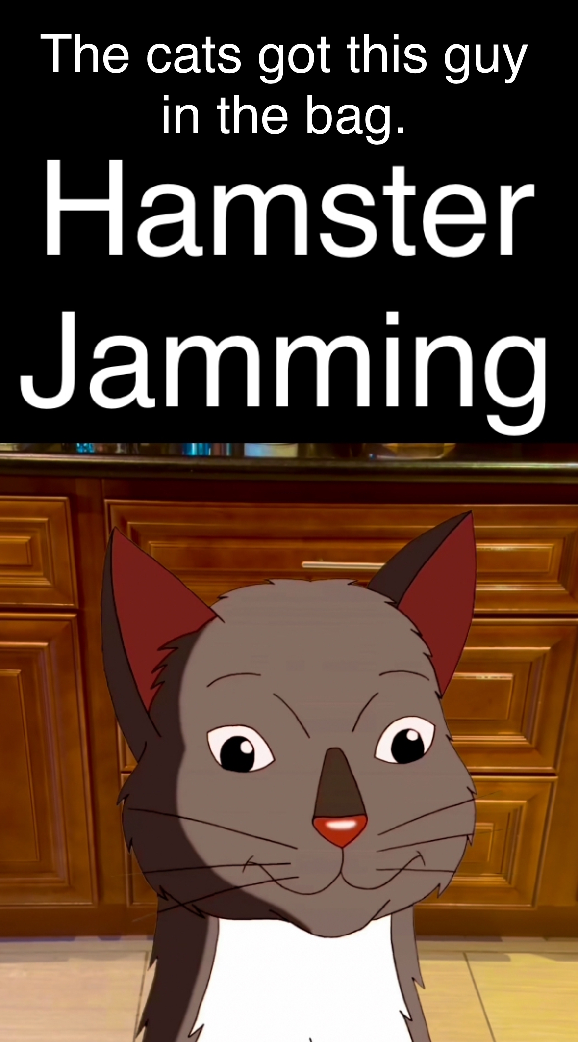 Hamster Jamming