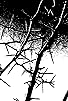 Primary photo for Hecate's Kiss