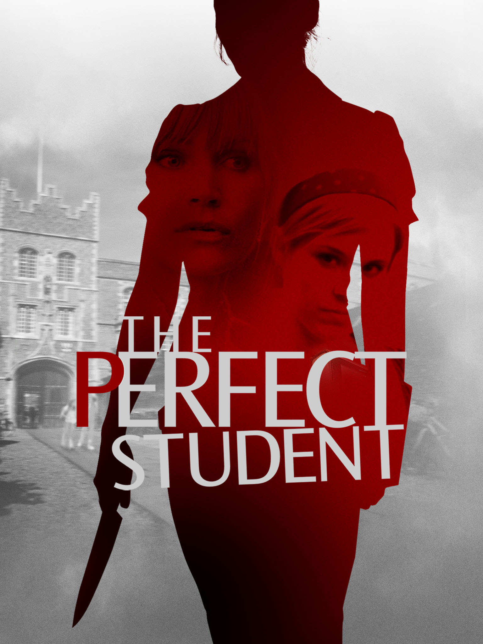 Poster of The Perfect Student