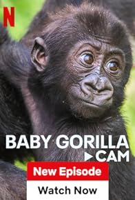 Primary photo for Baby Gorilla Cam