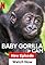 Baby Gorilla Cam's primary photo