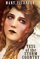 その他 Mary Pickford: Life on Film [DVD] Mary Pickford: Life on Film [DVD]