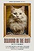 Primary photo for Diamond in the Ruff Primary photo for Diamond in the Ruff