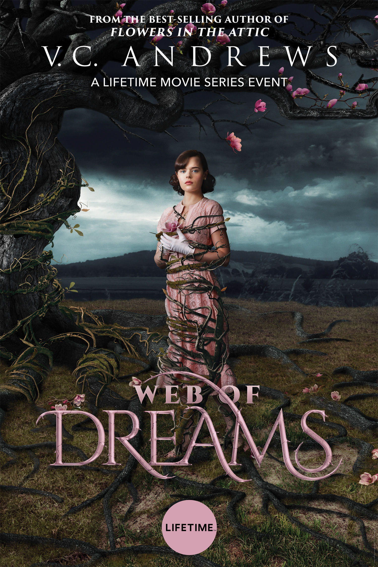 Poster of Web of Dreams
