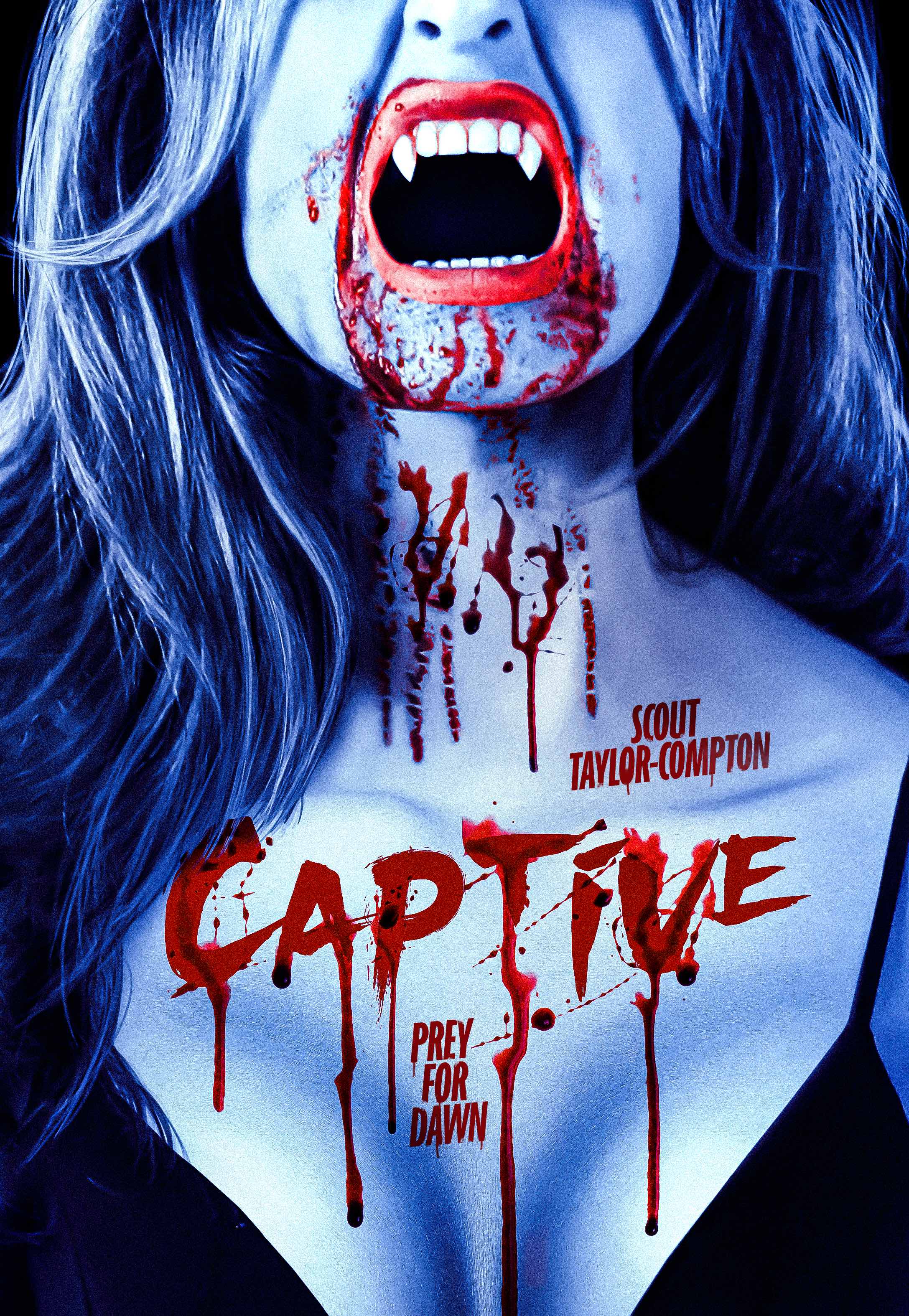 Poster of Captive