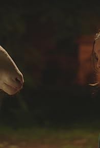 Primary photo for Roots